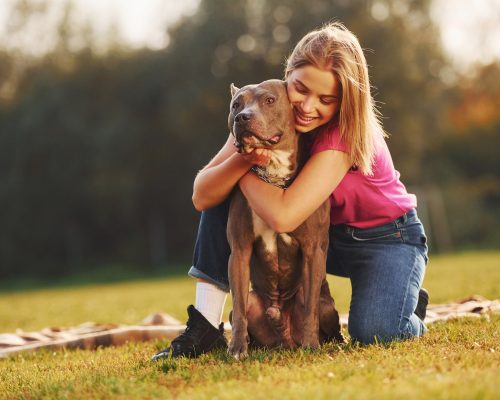 Friendship between human and animal. Woman in casual clothes is with pit bull outdoors